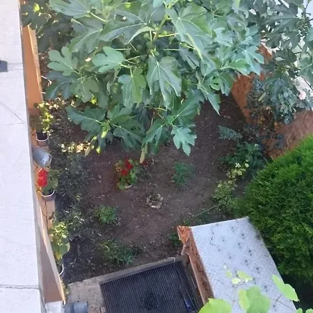 Casa Bibi Affittacamere