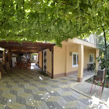 Guest house Casa Bibi Costinesti